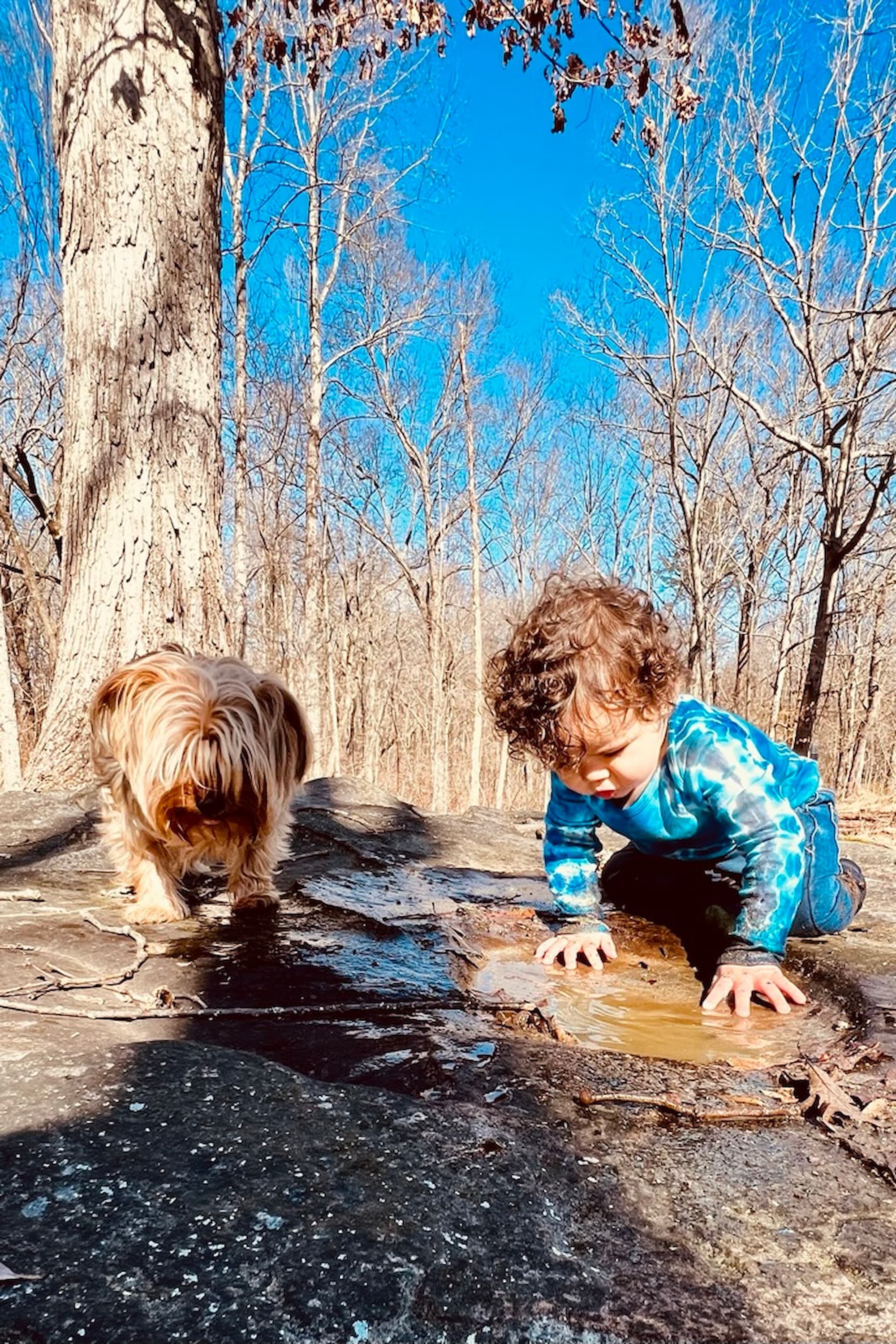 Puddle-splashing on the big rocks with a furry friend