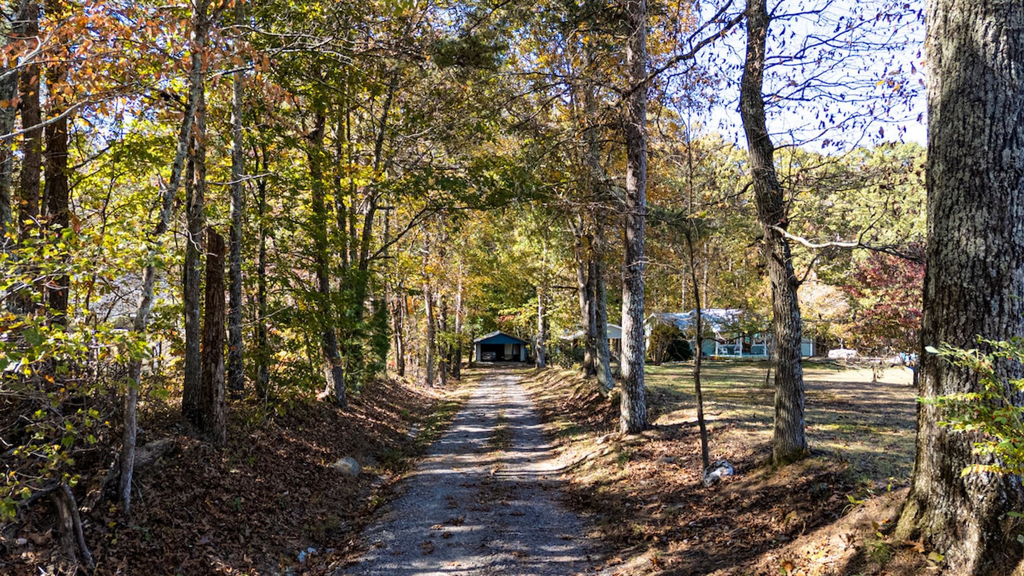 The tree-lined gravel drive up to Pennington Place in autumn